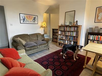 Picture 12
